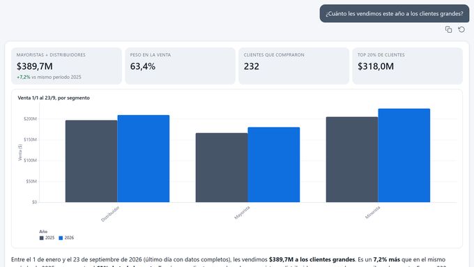 SmartBI IQ answer: How much did we sell to large customers this year?